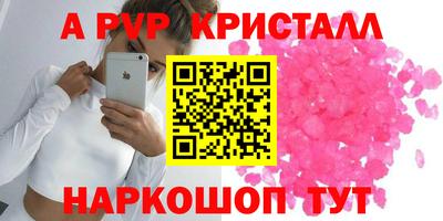 стаф Кунгур