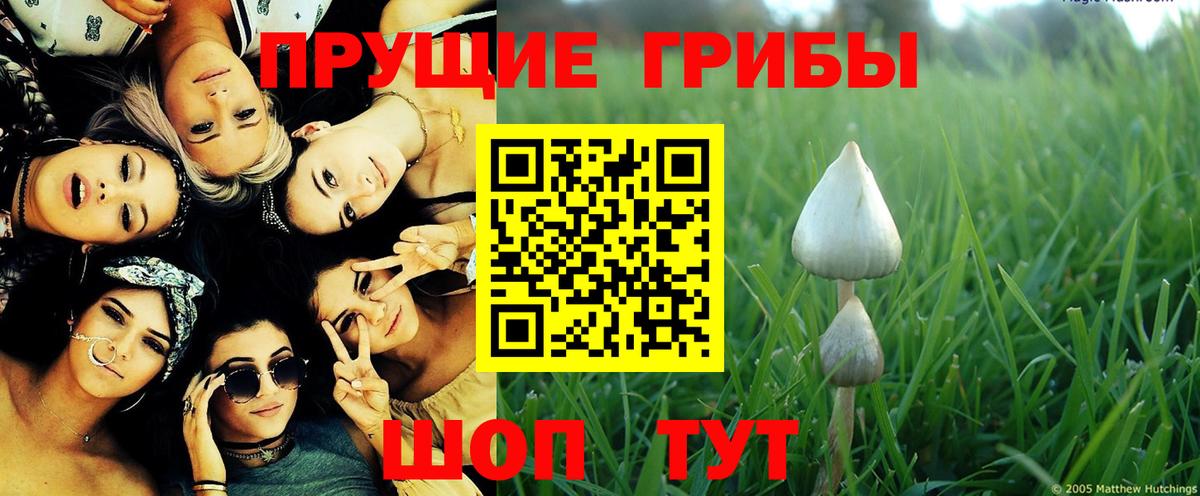Галлюциногенные грибы Magic Shrooms Губкинский